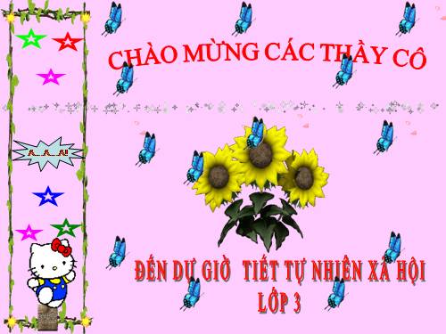 Bài 19. Các thế hệ trong một gia đình