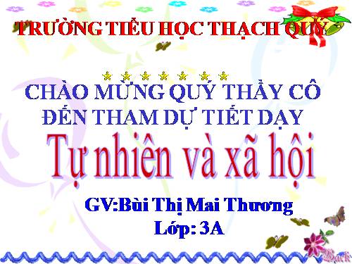 Bài 60. Sự chuyển động của Trái Đất