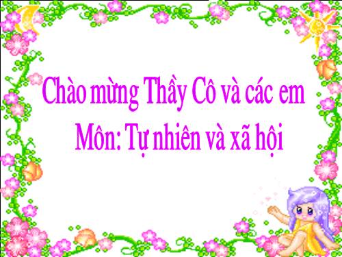 Bài 50. Côn trùng