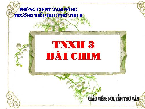 Bài 53. Chim