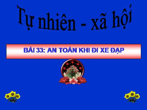 Bài 33. An toàn khi đi xe đạp