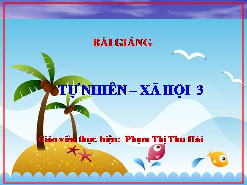 Bài 63. Ngày và đêm trên Trái Đất