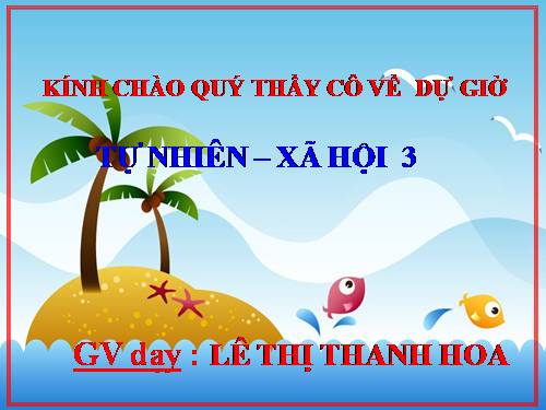 Bài 19. Các thế hệ trong một gia đình