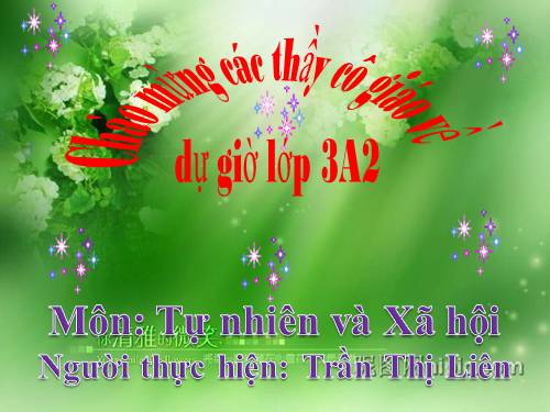 Bài 53. Chim
