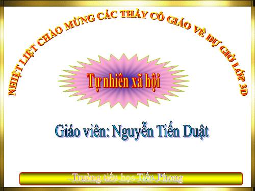 Bài 50. Côn trùng