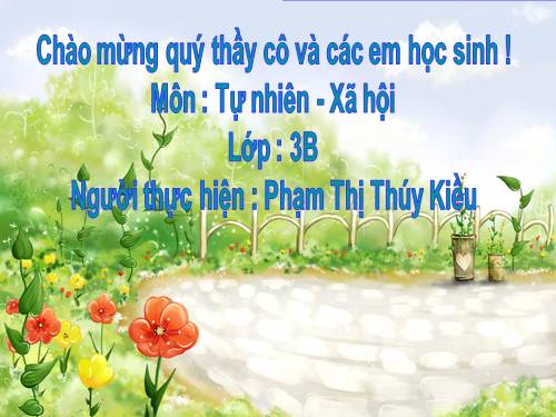 Bài 50. Côn trùng