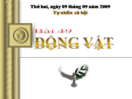 Bài 49. Động vật