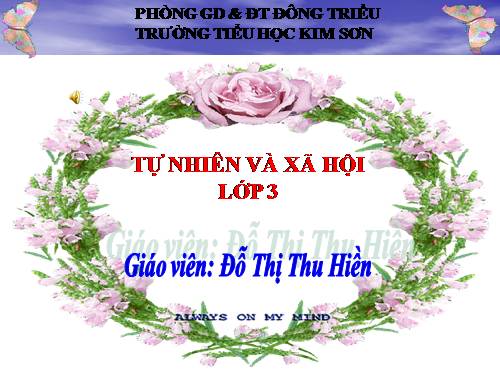 Bài 30. Hoạt động nông nghiệp