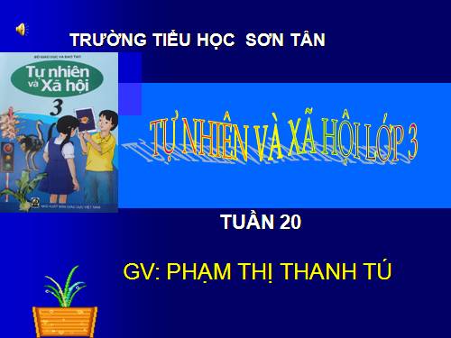 Bài 40. Thực vật