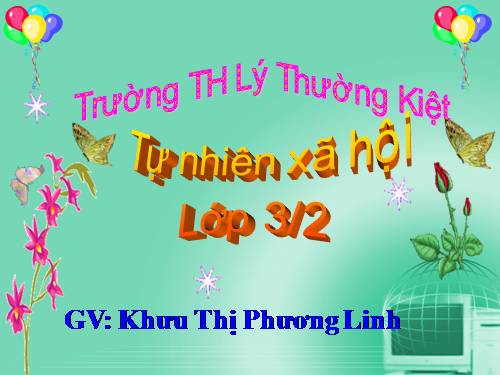 Bài 42. Thân cây (tiếp theo)