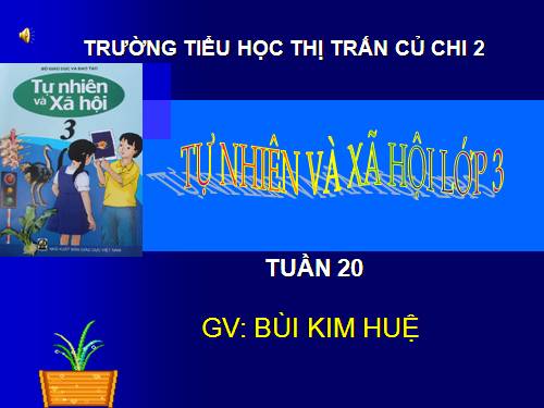 Bài 40. Thực vật