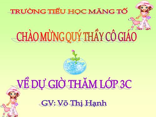 Bài 40. Thực vật