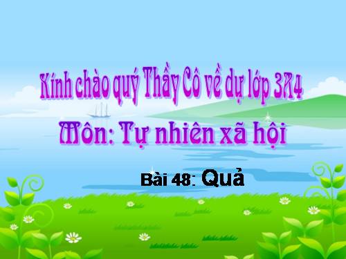 Bài 48. Quả