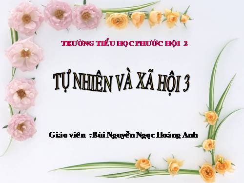 Bài 31. Hoạt động công nghiệp, thương mại