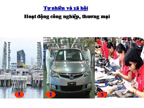 Bài 31. Hoạt động công nghiệp, thương mại