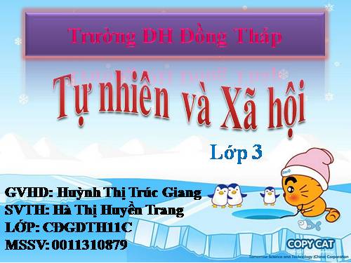 Bài 19. Các thế hệ trong một gia đình