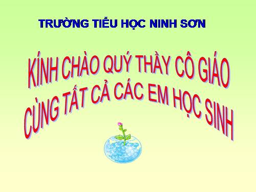 Bài 40. Thực vật