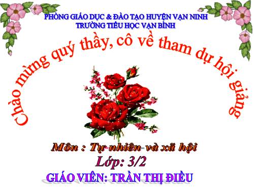 Bài 20. Họ nội, họ ngoại