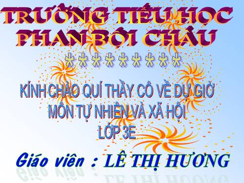 Bài 19. Các thế hệ trong một gia đình