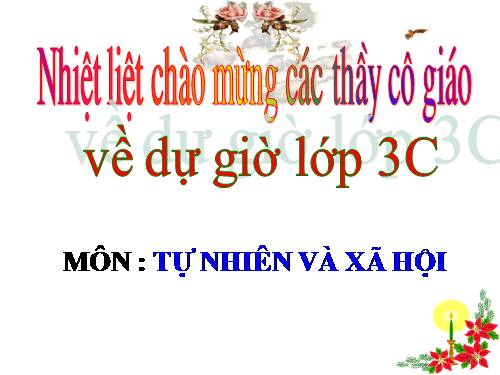 Bài 19. Các thế hệ trong một gia đình