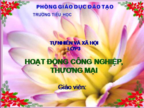 Bài 31. Hoạt động công nghiệp, thương mại