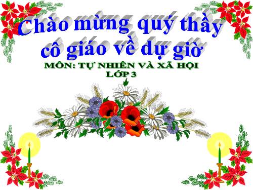 Bài 26. Không chơi các trò chơi nguy hiểm