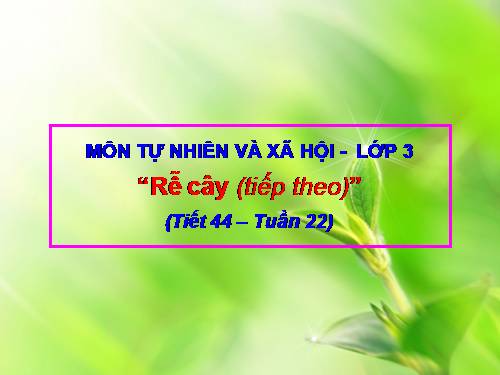 Bài 44. Rễ cây (tiếp theo)