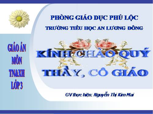 Bài 62. Mặt Trăng là vệ tinh của Trái Đất