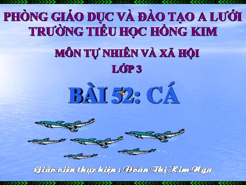 Bài 52. Cá