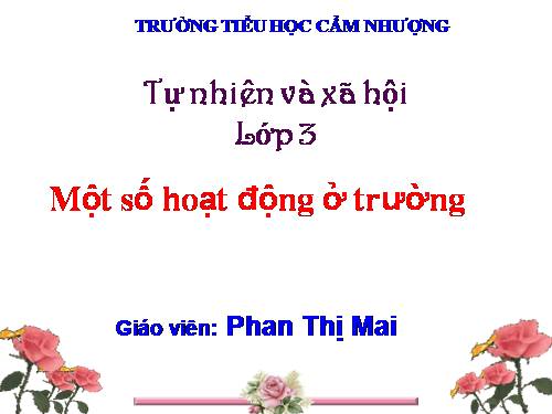 Bài 24. Một số hoạt động ở trường