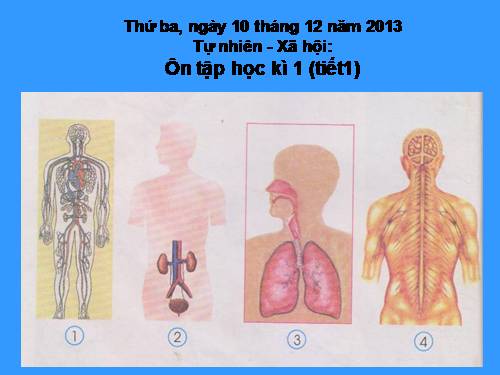 Bài 34-35. Ôn tập và Kiểm tra Học kì I