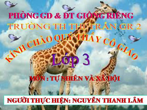 Bài 49. Động vật