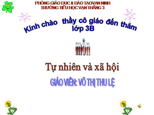 Bài 19. Các thế hệ trong một gia đình