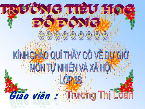 Bài 19. Các thế hệ trong một gia đình