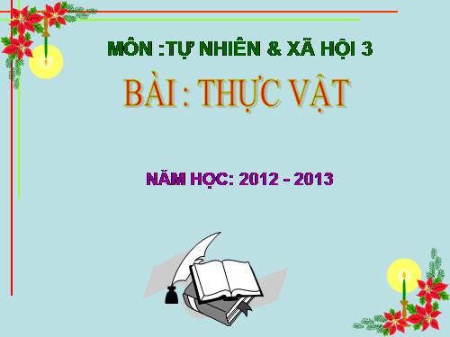 Bài 40. Thực vật