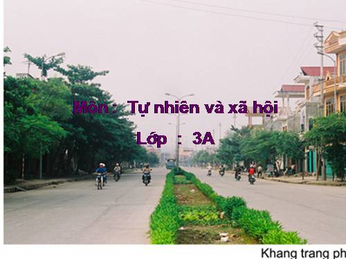 Bài 32. Làng quê và đô thị