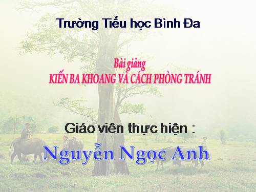 Kiến 3 khoang