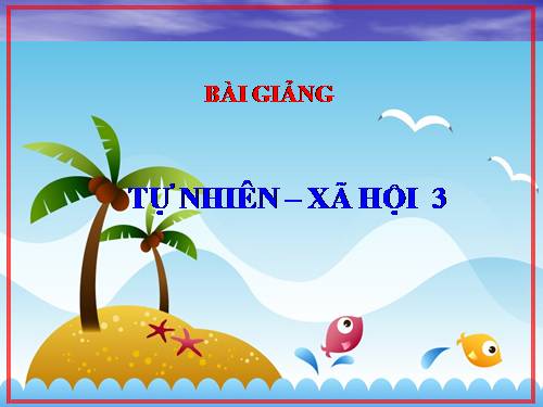 Bài 63. Ngày và đêm trên Trái Đất