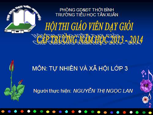 Bài 24. Một số hoạt động ở trường