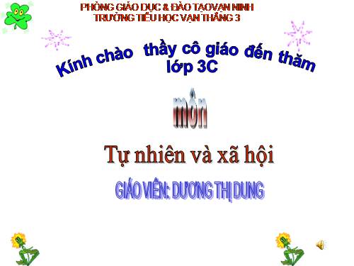 Bài 19. Các thế hệ trong một gia đình