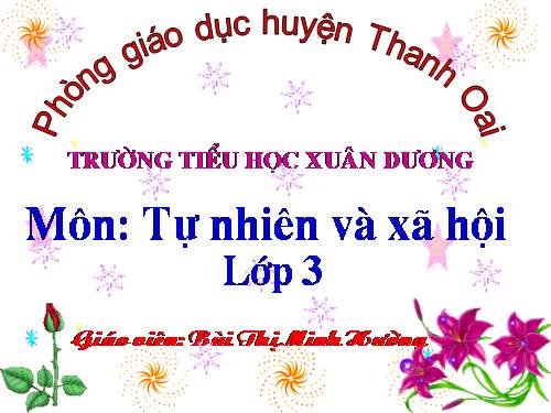 Bài 14. Hoạt động thần kinh (tiếp theo)