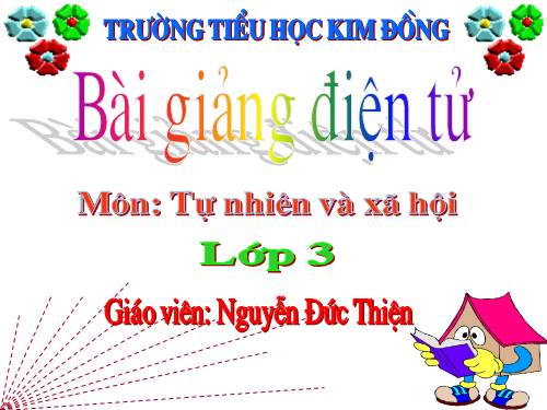 Bài 19. Các thế hệ trong một gia đình