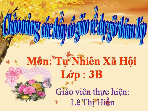 Bài 10. Hoạt động bài tiết nước tiểu