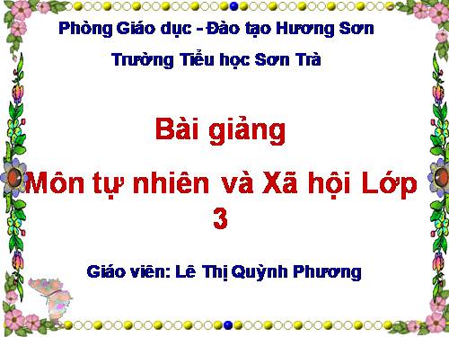 Bài 29. Các hoạt động thông tin liên lạc