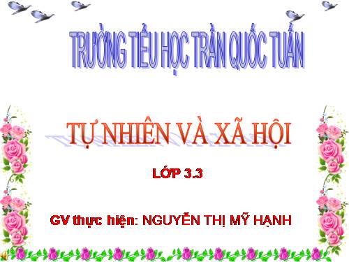 Bài 24. Một số hoạt động ở trường