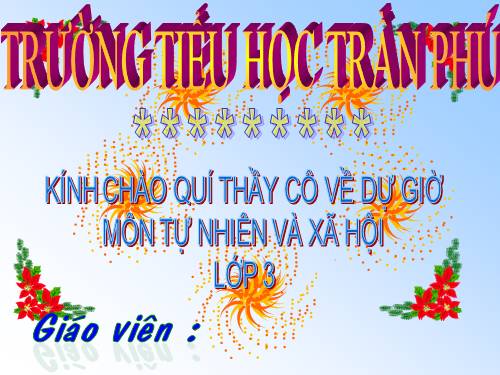 Bài 19. Các thế hệ trong một gia đình