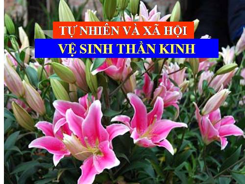 Bài 15. Vệ sinh thần kinh