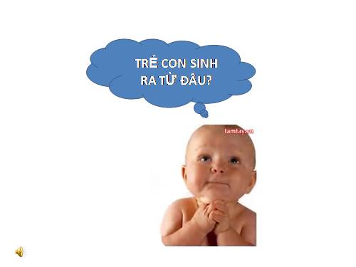 Câu chuyện giới tính