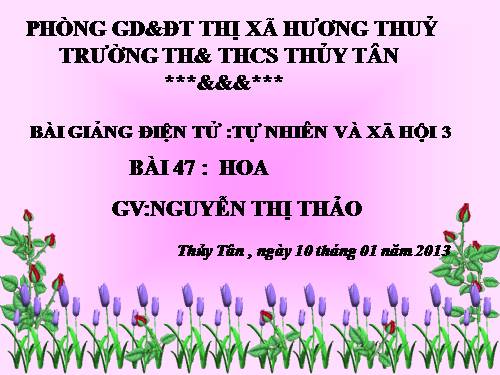 Bài 47. Hoa