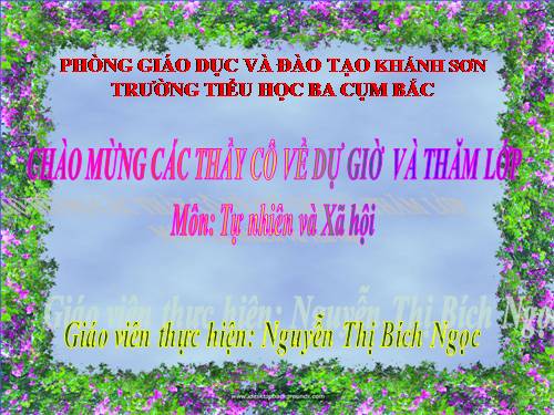 Bài 13. Hoạt động thần kinh